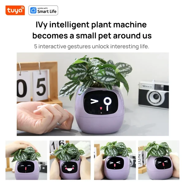 Maceta inteligente con riego automático, Tuya Ivy - Imagen 2